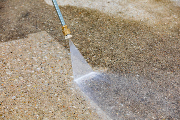 Best Animal Enclosure Cleaning  in Oriole Beach, FL