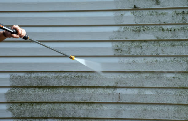 Best House Exterior Washing  in Oriole Beach, FL